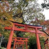 【兵庫県】鳥居と紅葉が美しい秋の有子山稲荷神社へ！