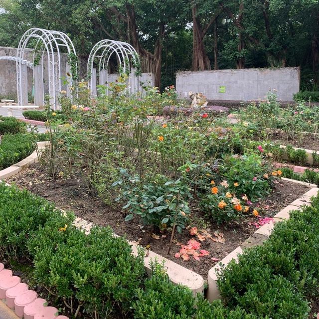 歐式花園在大埔 歐式花園在大埔