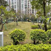 PAROUE CENTRAL DA TAIPA