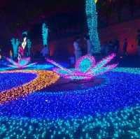 ชมแสงสีอลังการ ที่ ประตูท่าแพ เชียงใหม่