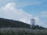 深圳最新打卡熱點，「天空之城」雲海廣場 