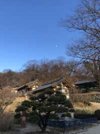 가끔은 전통적인 여행도 좋잖아? 🌅영주 부석사🌄