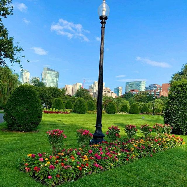 The Oldest Public Park in Boston