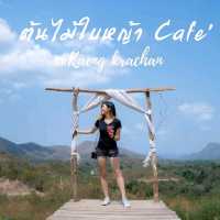 ต้นไม้ใบหญ้า Cafe' at แก่งกระจาน 🏕