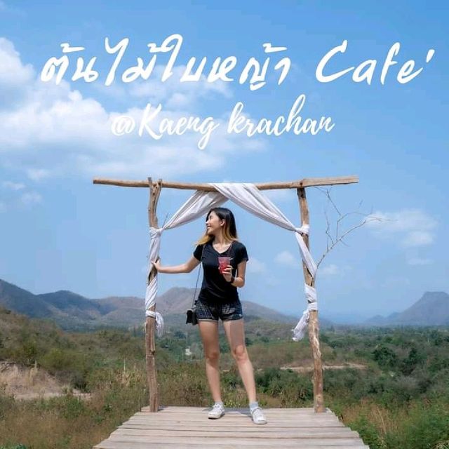 ต้นไม้ใบหญ้า Cafe' at แก่งกระจาน 🏕