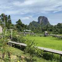คาเฟ่ ทุ่งนา @บิ้งนา คาเฟ่ 