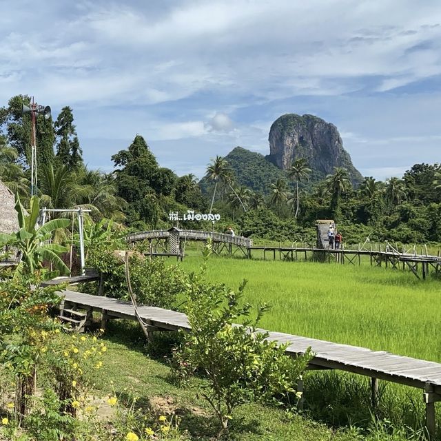 คาเฟ่ ทุ่งนา @บิ้งนา คาเฟ่ 