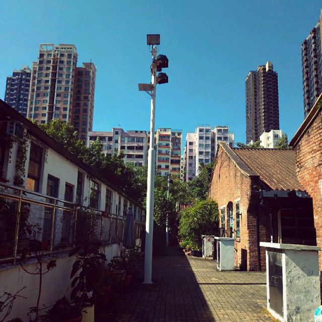 牛棚深度遊