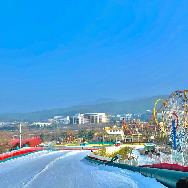 [🇰🇷, 경주] 크리스마스 즐기러 경주월드 🎡