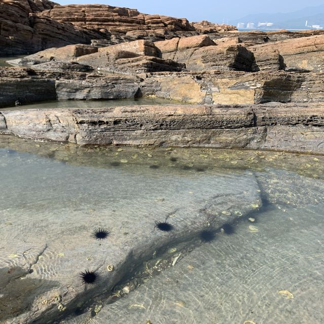 香港最東北的海岸公園
