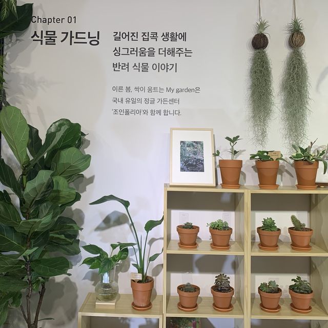 [서울 필수코스로 자리잡은 ‘교보문고 광화문점’]