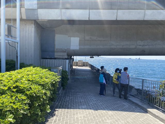 繁忙生活容易忽略 身邊美景