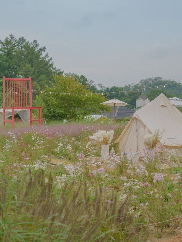계절 꽃으로 가득한 뷰좋은 카페 원주 사진정원🌼