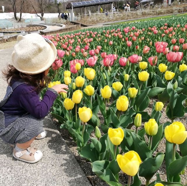 お花いっぱい