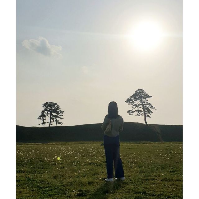 📷 청주 인생샷 핫플 [정북동 토성]