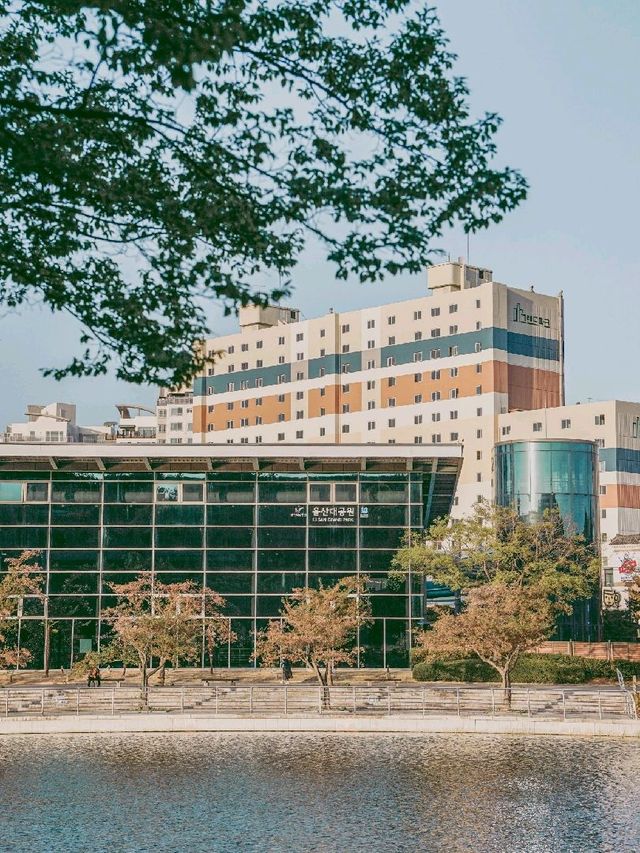 사계절 꽃을 볼 수 있는 울산대공원