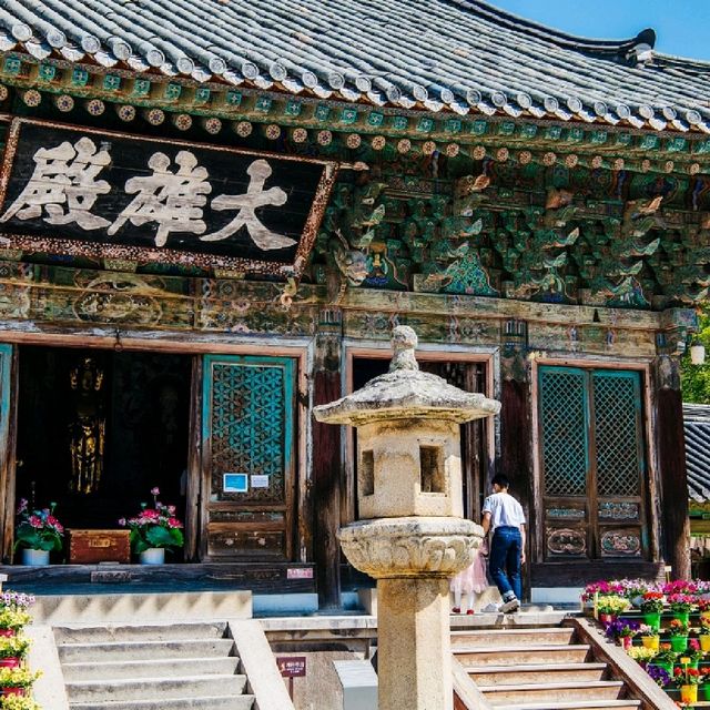 경주여행 불국사 다보탑, 겹벚꽃