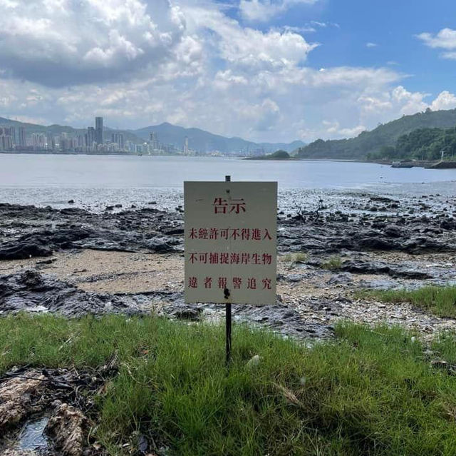 鹿頸行山之旅😳遠望對岸清新之選 鹿頸行山之旅😳遠望對岸清新之選