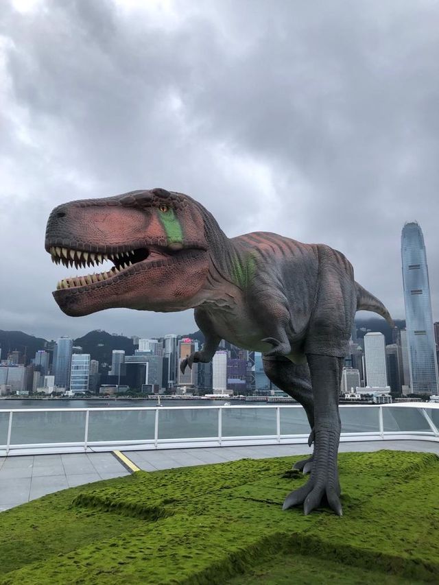 🦖恐龍出沒注意⚠️但係大人細路都鍾意😂