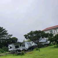 제주 서귀포 표선 오크라리조트 수국 보고 카페도 이용하기