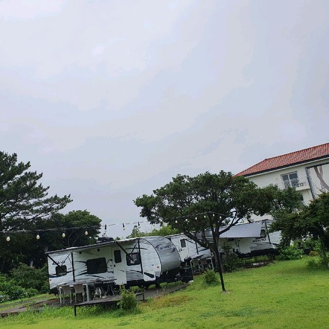 제주 서귀포 표선 오크라리조트 수국 보고 카페도 이용하기