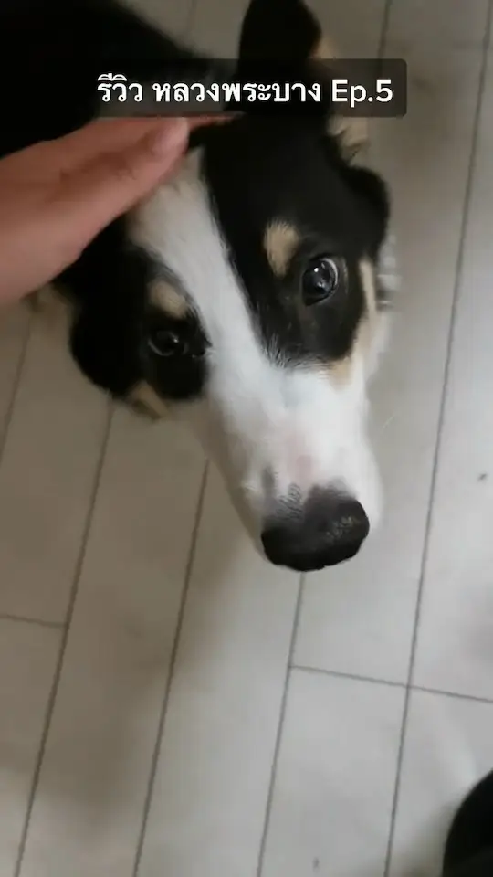 #รีวิวเที่ยวหลวงพระบาง Ep.5🇱🇦 