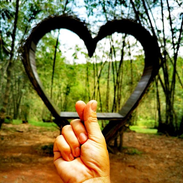 Greenary day out @ Bamboo Garden