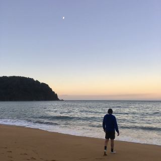 뉴질랜드, 아벨타즈만을 걷기위해 찾아간 토타라누이 비치🌊✨