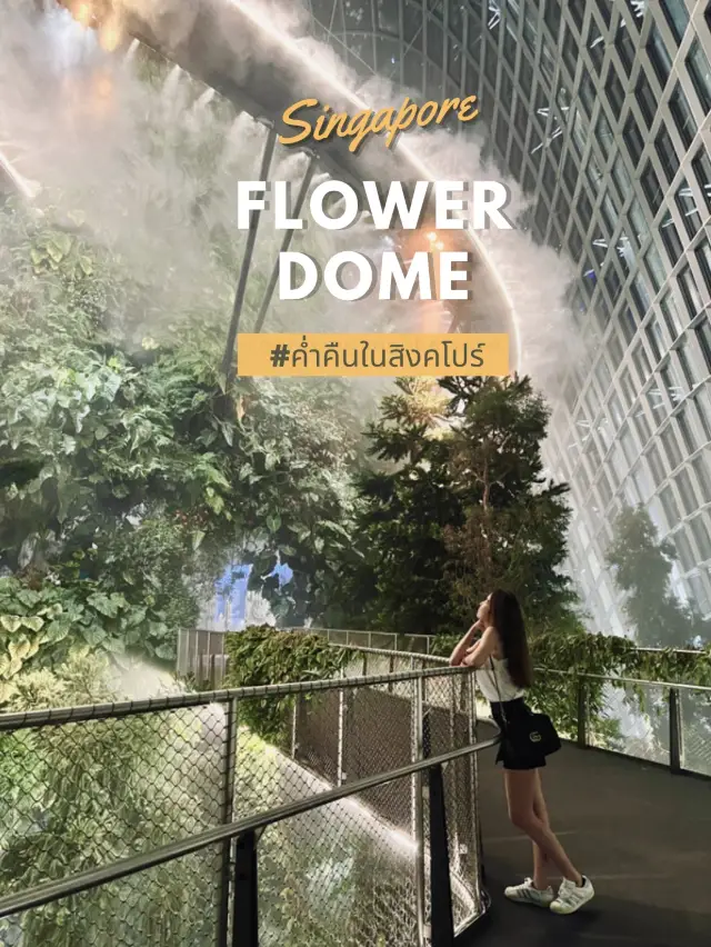 คืนสวยๆ ที่ Flower Dome สิงคโปร์ 🍃🌃