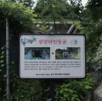 광양 여행 가볼만한곳 * 와인동굴