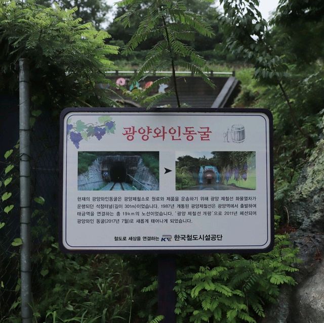광양 여행 가볼만한곳 * 와인동굴