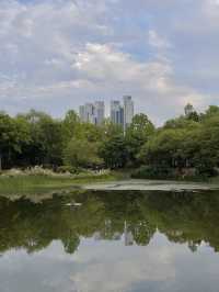 서울에서 자연을 눈에 담을 수 있는 ‘서울숲’ 🌳🌷✨