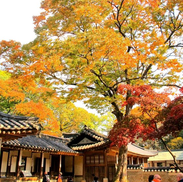 Autumn @Gyeongbokgung Palace 