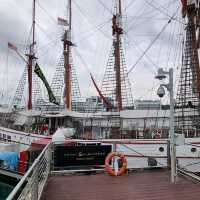 Royal Albatross - Luxury Tall Ship