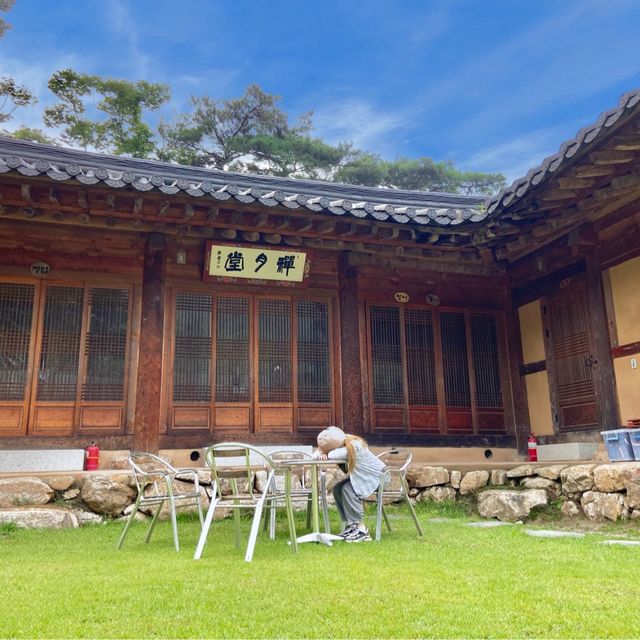 속세에서 벗어나고 싶을 땐, 용문사 템플스테이🪷