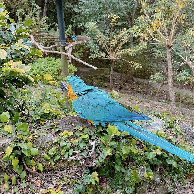 長崎旅行ならバイオパークでふれあい体験