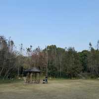 大棠有機生態園