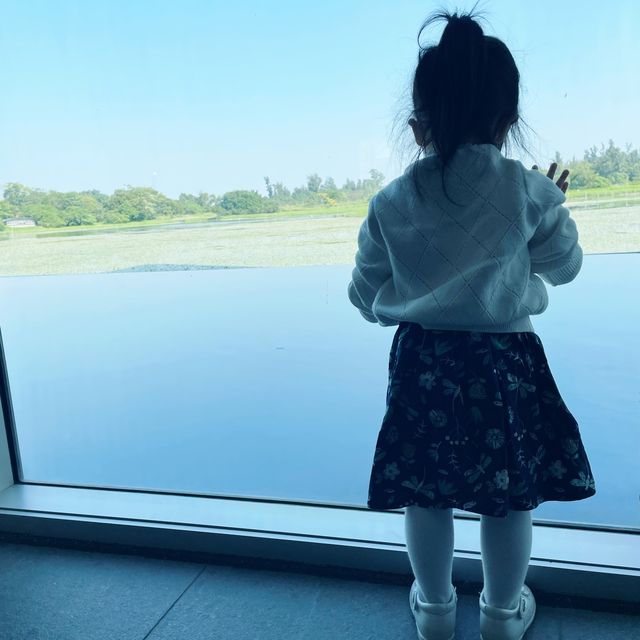 親子好地方 -濕地公園
