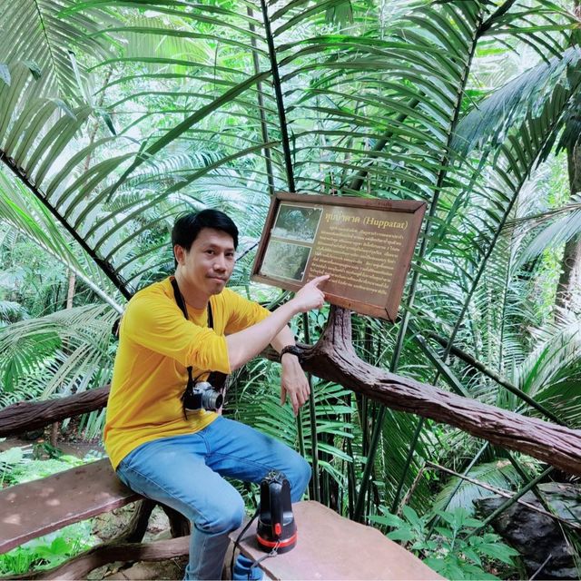 Unseen ❗️หุบป่าตาด ป่าดึกดำบรรพ์ 🦕เมืองอุทัย 🦇