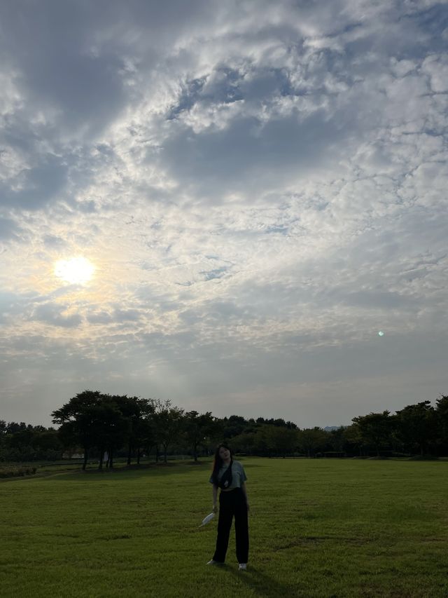 부산 피크닉&핑크뮬리 ‘을숙도’