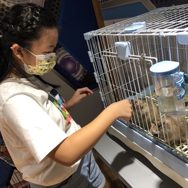 寵物嘉年華 🦜🐕🐿🦫🐕 寵物嘉年華 🦜🐕🐿🦫🐕