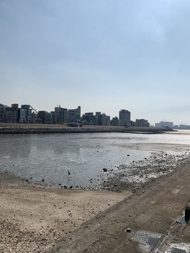 🌊 오이도 갯벌 + 칼국수 맛집 🌊