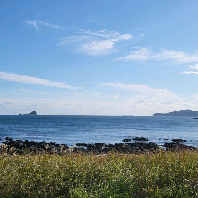 제주도 홀로여행 - 용머리해안