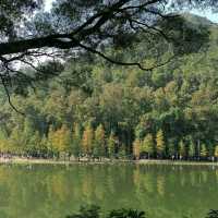 流水響至鶴藪鳳園山遊樂