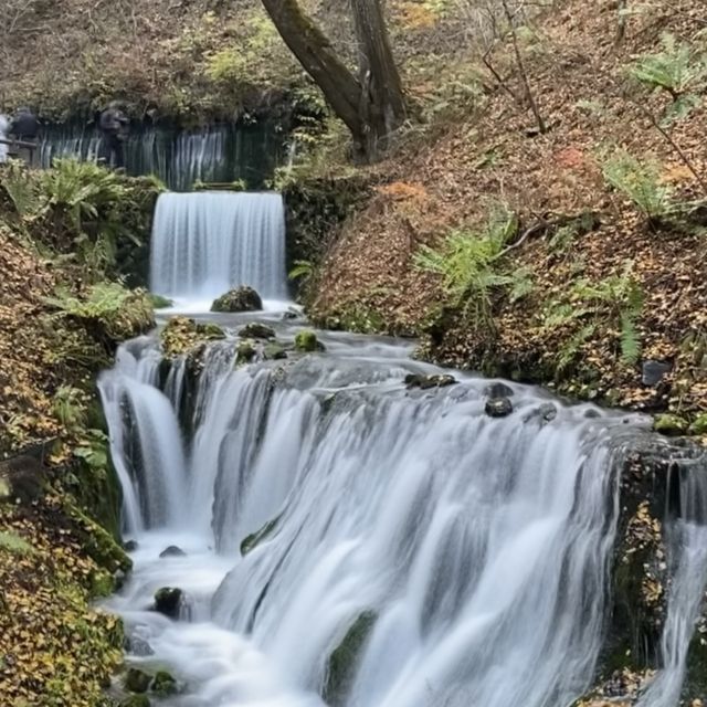軽井沢『白糸の滝』