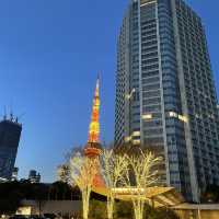 【東京】移り行く東京タワーをお部屋から楽しむ🗼
