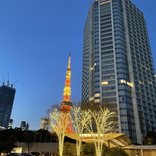 【東京】移り行く東京タワーをお部屋から楽しむ🗼