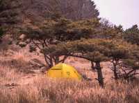 아프리카에 온 듯한 인천 섬 백패킹