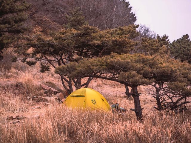 아프리카에 온 듯한 인천 섬 백패킹