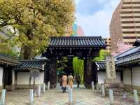 京都　SAKURA 桜めぐり❗️聖徳太子が創建した六角堂の桜に感動❗️